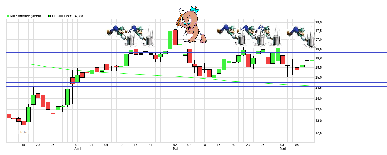 RIB Software AG 1117426