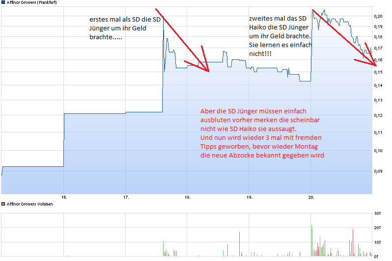 Newnote Financial 800951