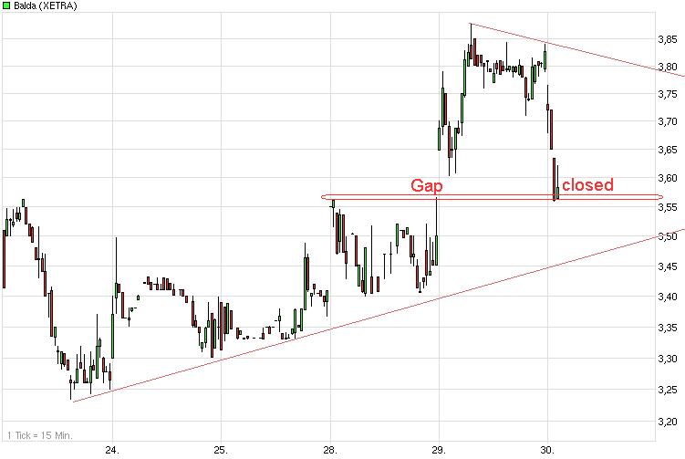 Balda schnelle 100 Prozent 462502