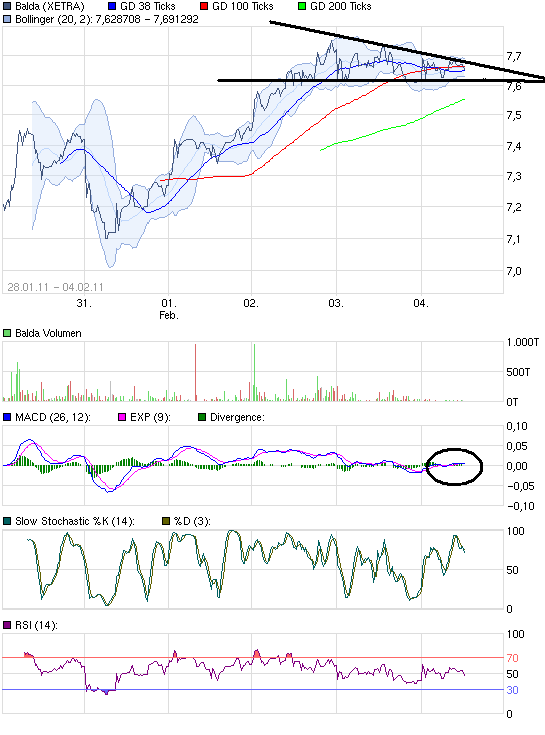 Balda schnelle 100 Prozent 378361