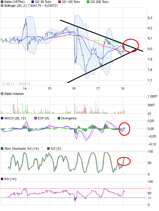 Balda schnelle 100 Prozent 381942