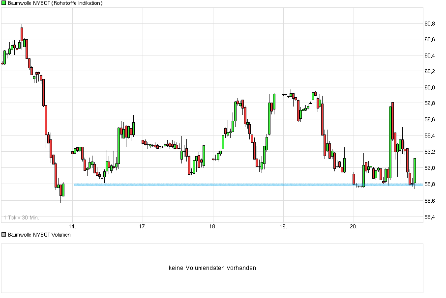 Baumwolle long wird interessant 775000