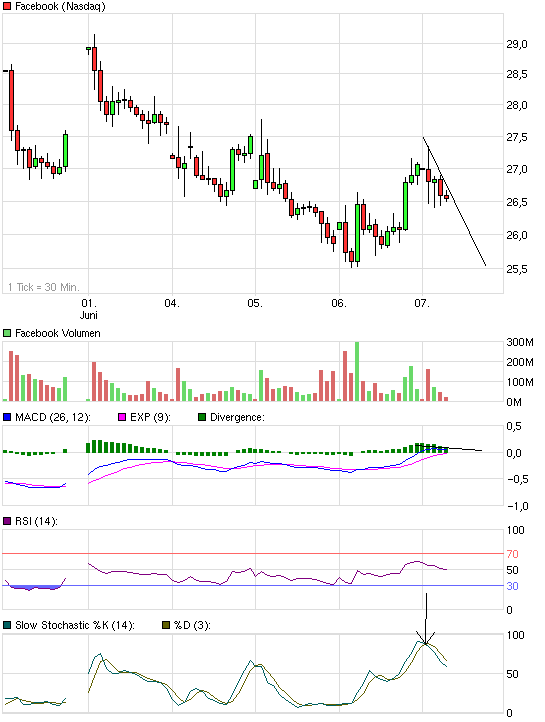 Facebook der Anfang vom Ende der Tulpen-Hausse? 513882