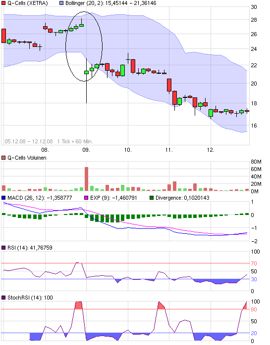 Q-Cells , der Solarzellenriese 206281