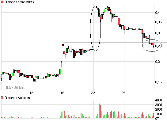 qimonda gerettet 207295