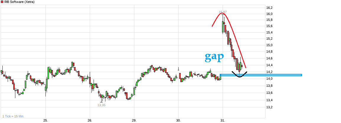 RIB Software AG 1080851