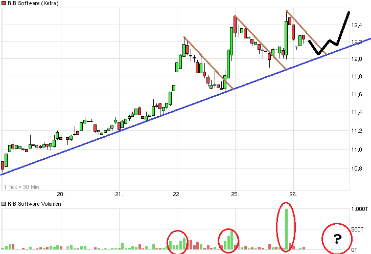 RIB Software AG 751611