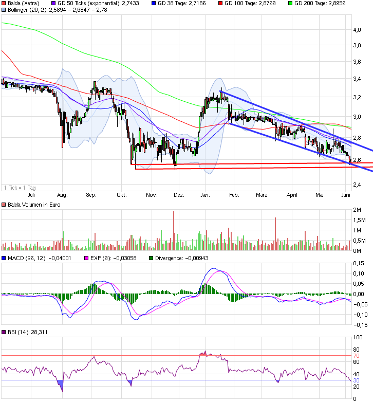 Balda schnelle 100 Prozent 830905