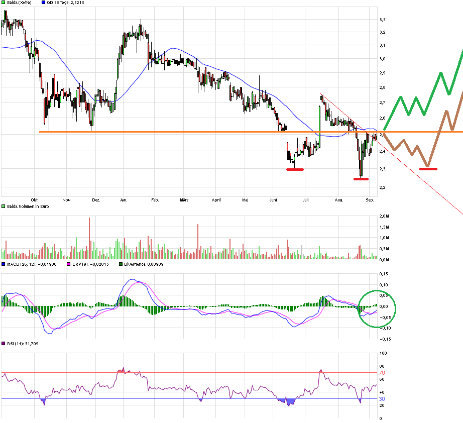 Balda schnelle 100 Prozent 856220