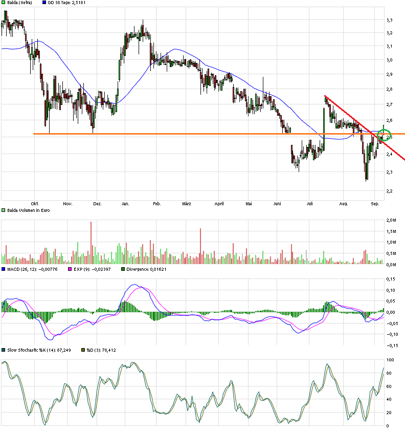 Balda schnelle 100 Prozent 856477