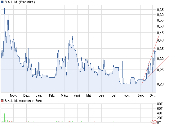 Ein B.A.U.M. der in den Himmel wächst... 543040