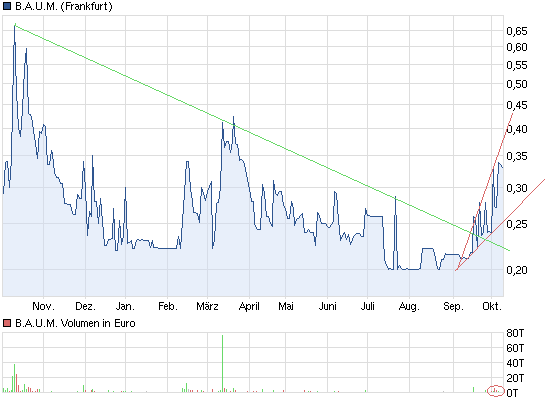 Ein B.A.U.M. der in den Himmel wächst... 543042