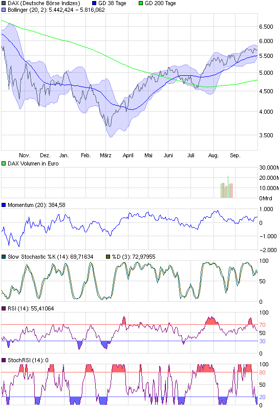 Dax Turbo Bear 263610