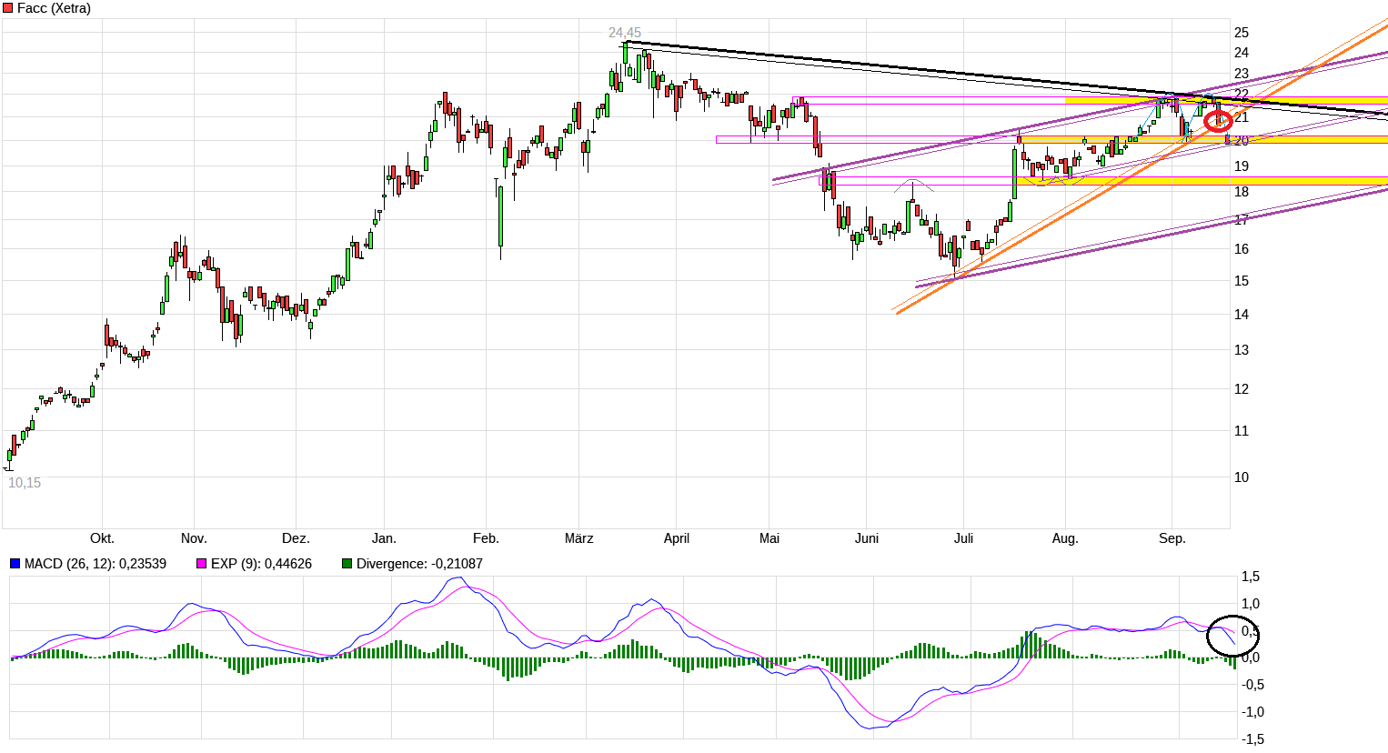 FACC - aufstrebendes Unternehmen aus Österreich! 1074959