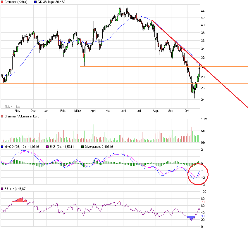 Grammer - schon gesehen?! 768725