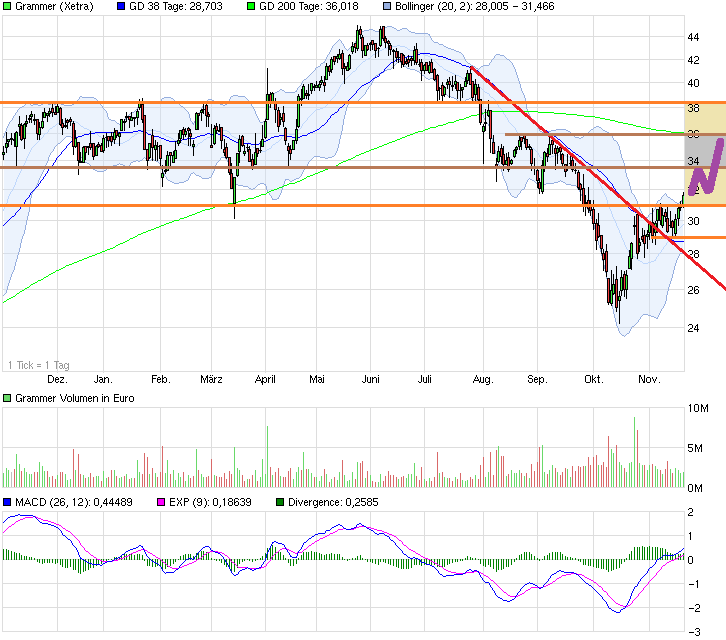 Grammer - schon gesehen?! 774855
