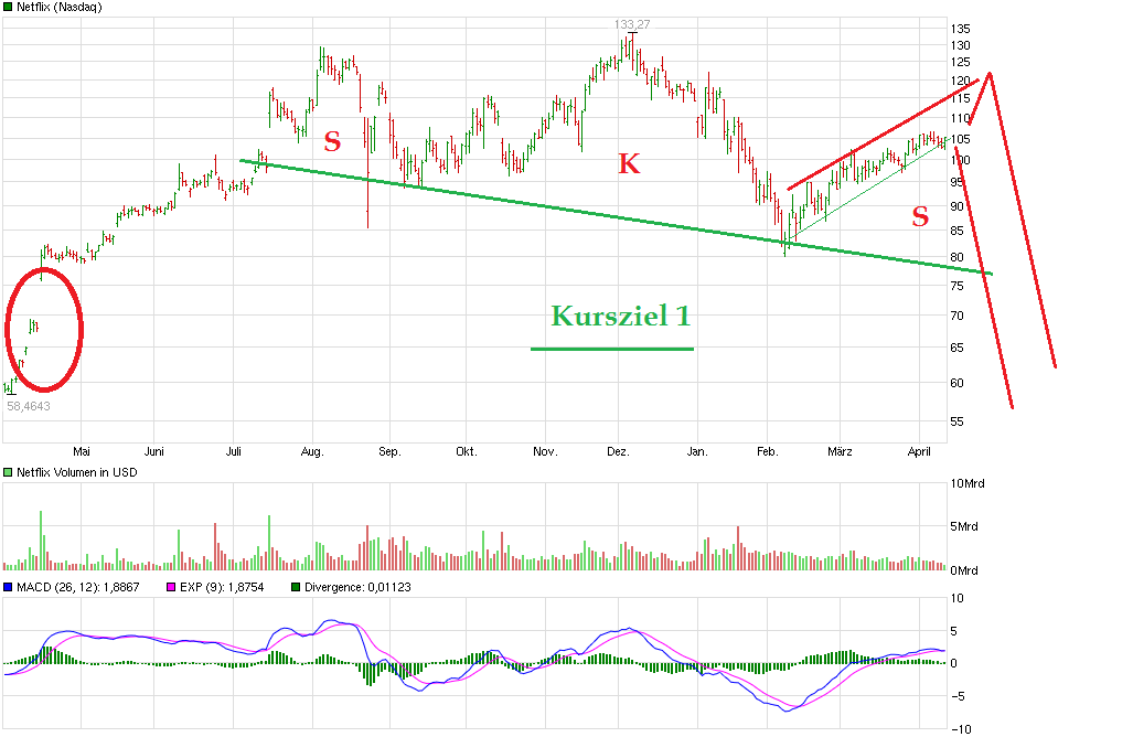 Shorttrading for Dummies mit Tesla & Netflix 907097