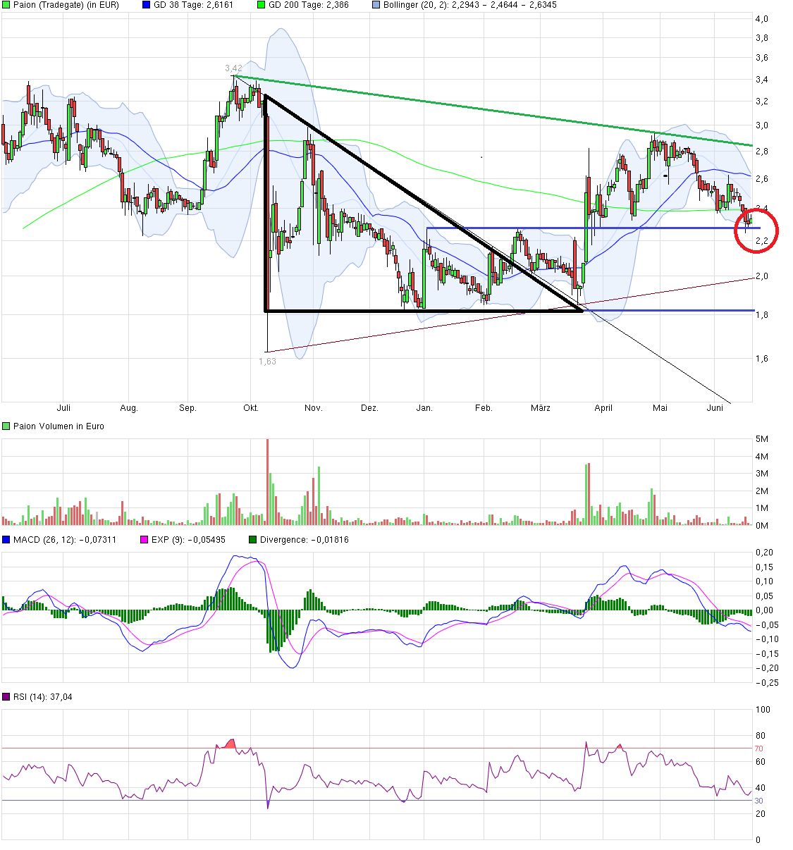 PAION Die Fledermaus im Steigflug 834178