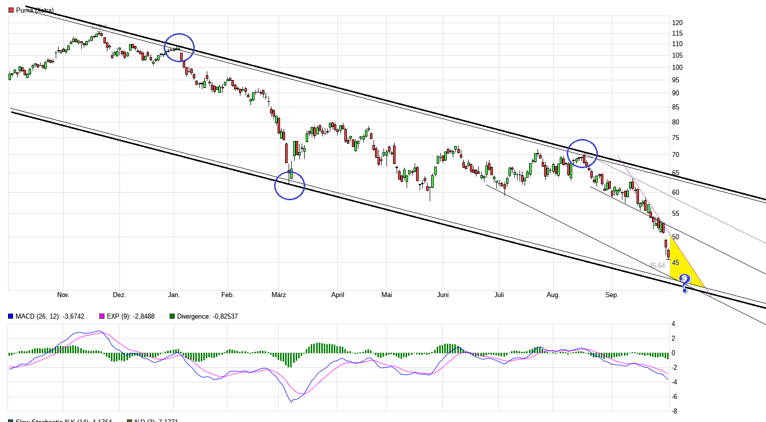 Puma die Erfolgsaktie 1335925