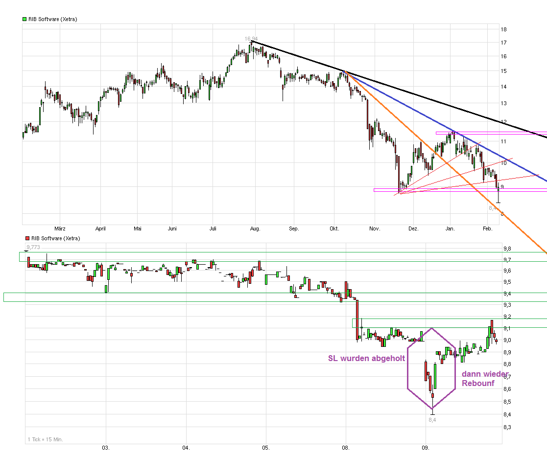 RIB Software AG 892648