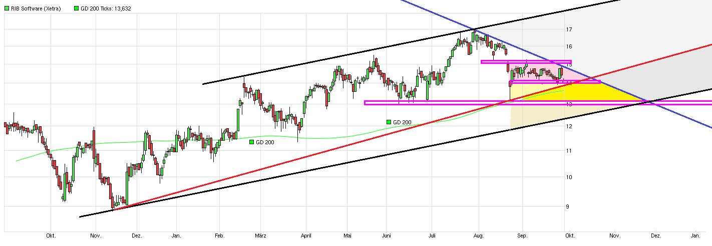RIB Software AG 861216
