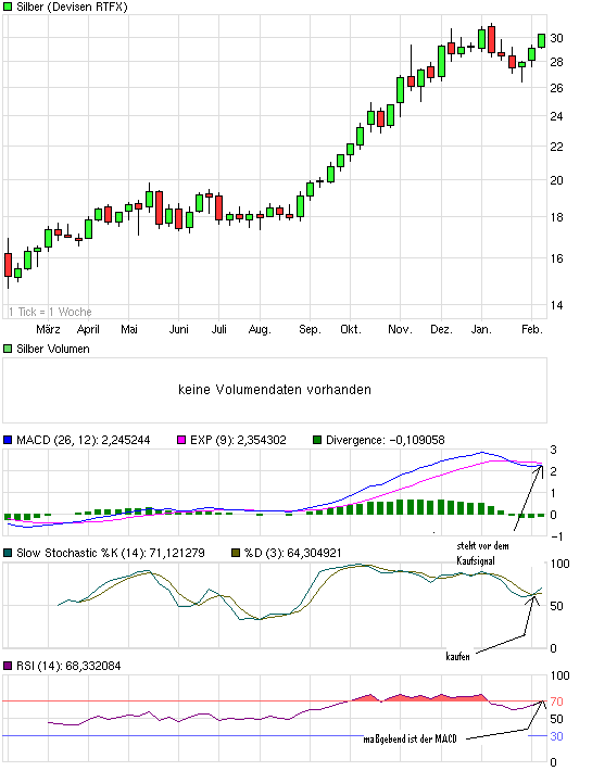 Silber - quo vadis 2011 379342