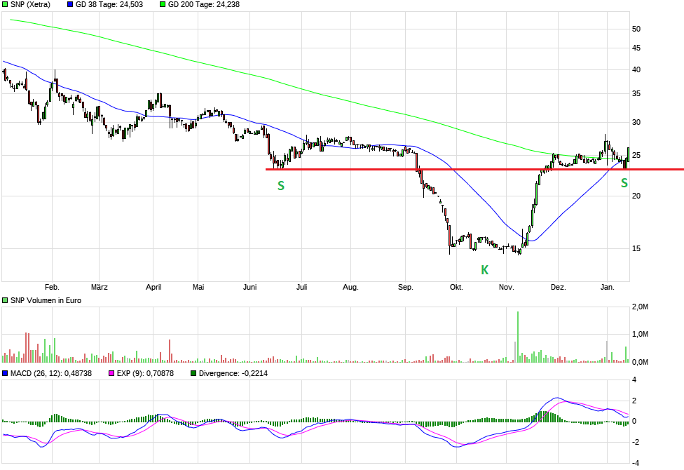 SNP auf dem Weg zu einer software company 1351293