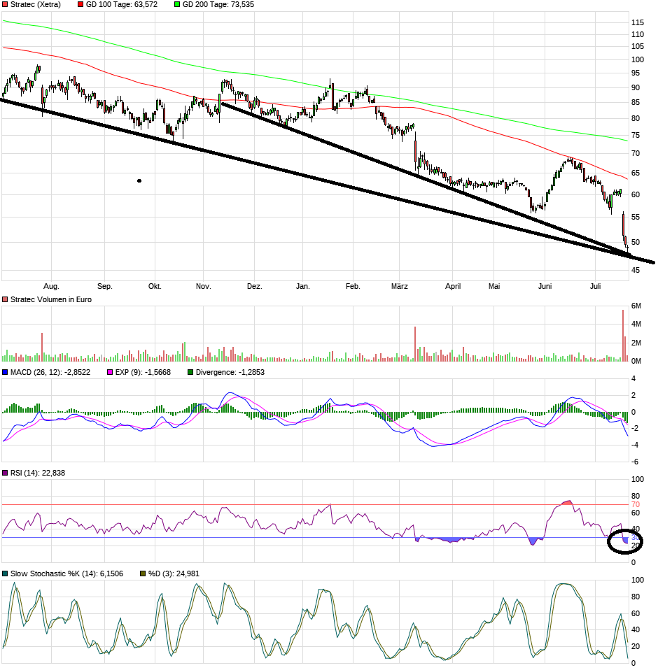 Stratec Biomedical System WKN:728900 bringen am 1382615