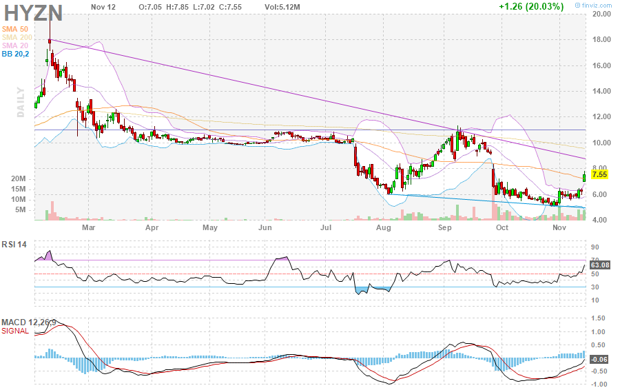 Hyzon Motors Inc - Hydrogen & Heavy Duty 1283750