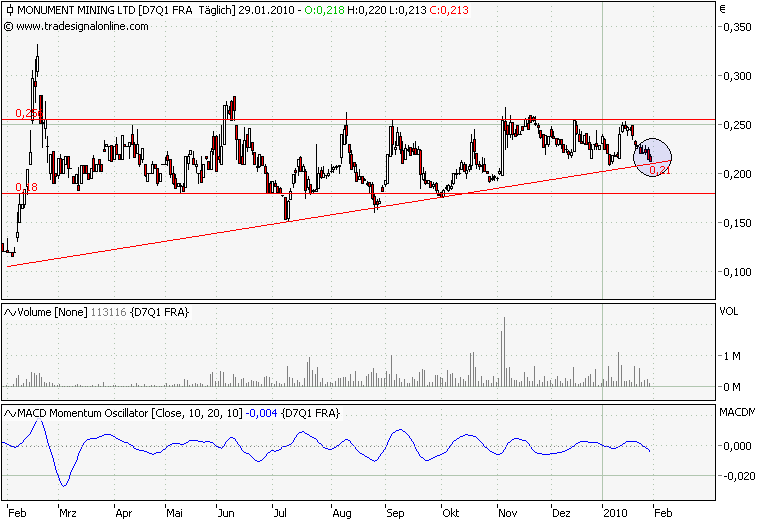 Monument Mining LTD. A0MSJF 295635