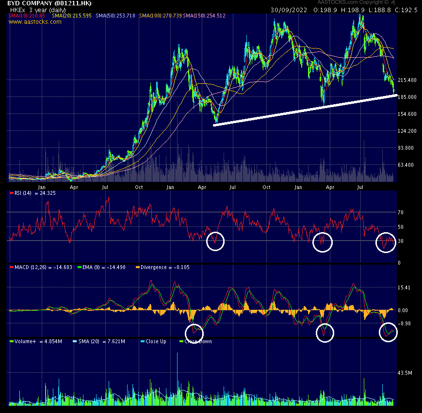 Auto- und Batterien-Herstellers BYD 1335574