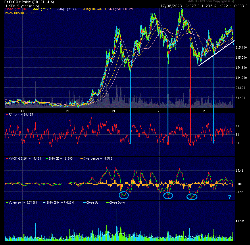 Auto- und Batterien-Herstellers BYD 1386301