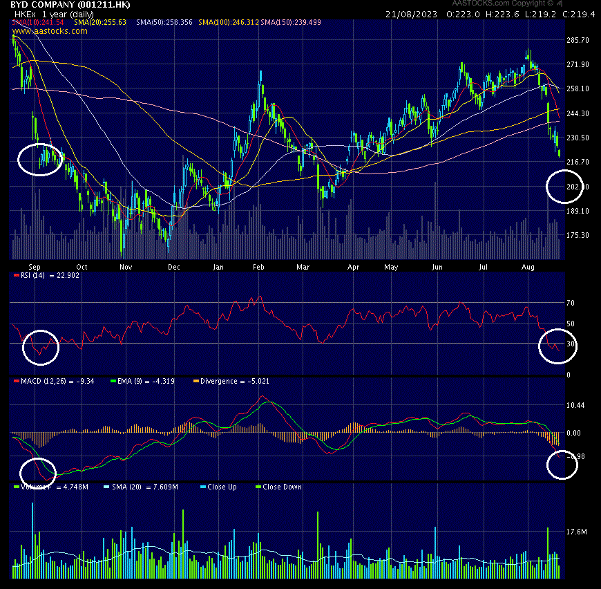 Auto- und Batterien-Herstellers BYD 1386817