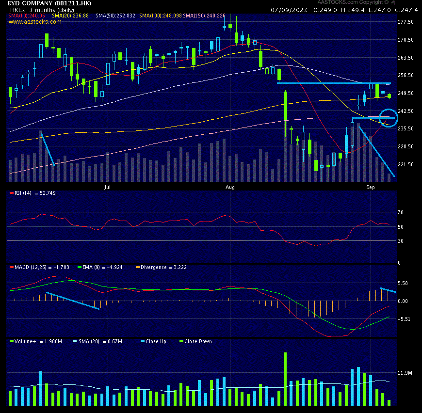 Auto- und Batterien-Herstellers BYD 1389142