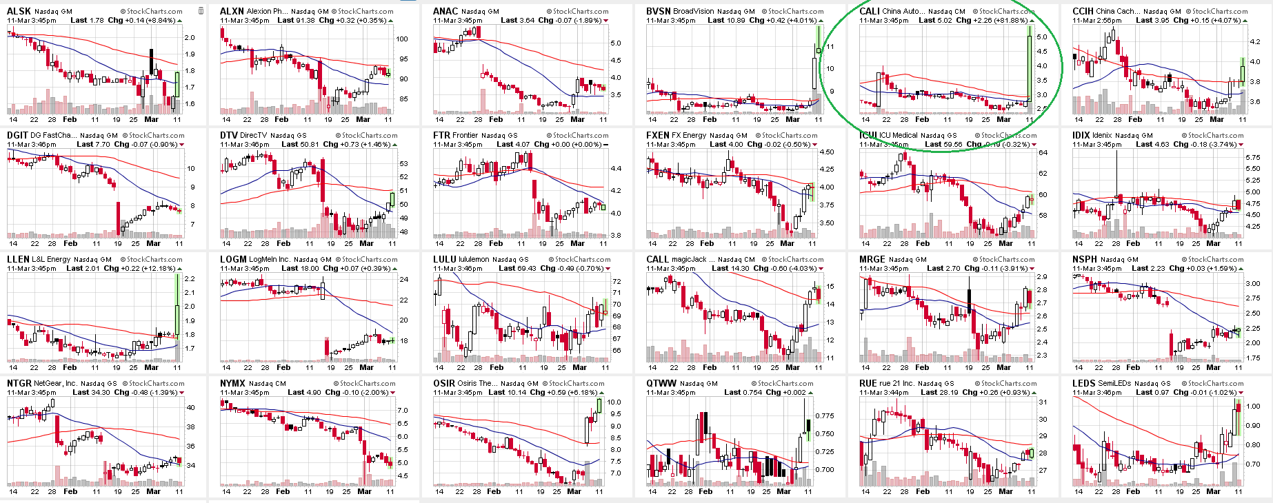 Wesleys Flugschule - US Auslese 586706