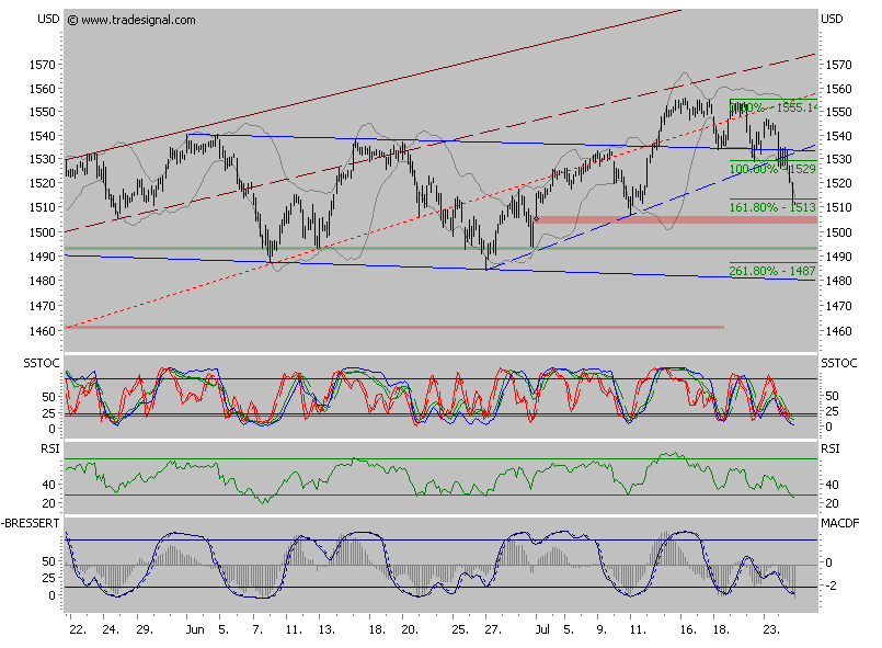 Der USA Bären-Thread 110820