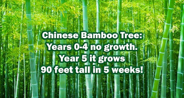 Steinhoff International Holdings N.V. 1149772