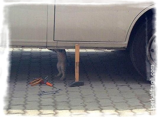 776.DAX Tipp-Spiel, Freitag, 02.05.08 162097