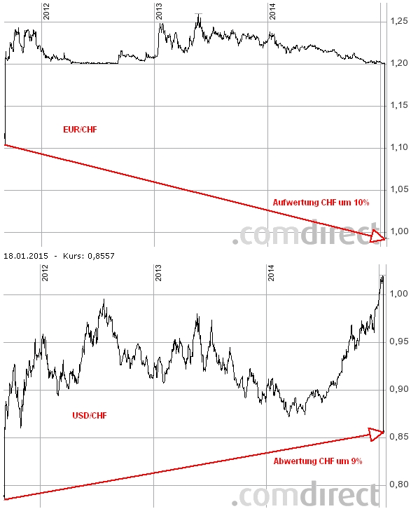 Der USA Bären-Thread 790875