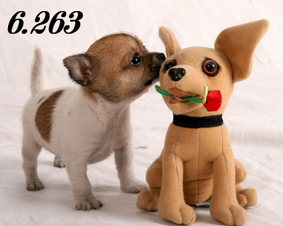 857.DAX-Tipp-Spiel **Montag** 25.08.08-17.45 Uhr 182005