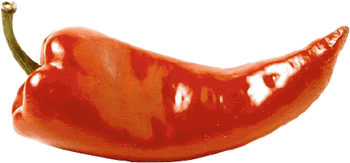 664.DAX Tipp-Spiel, Freitag, 16.11.07 131495