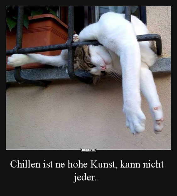 Steinhoff International Holdings N.V. 1127621