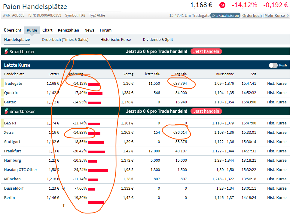 PAION Eine Fledermaus lernt wieder fliegen 1287459