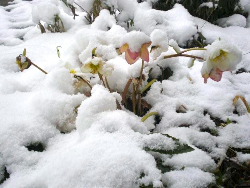 Gold traden - long bzw. short 880724