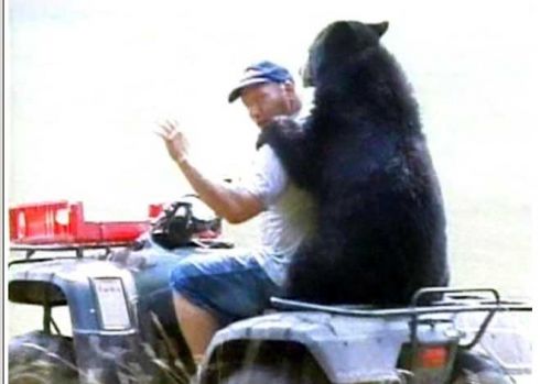 Hart aber Fair ! 204361