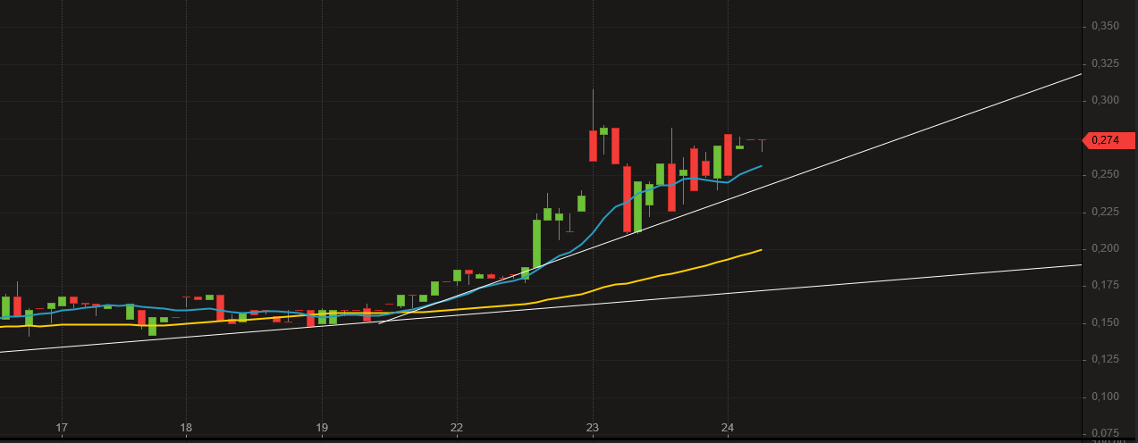 Börse ein Haifischbecken: Trade was du siehst 1235786