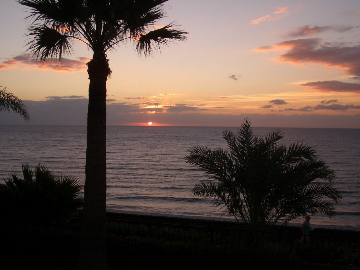 Der USA Bären-Thread 357416