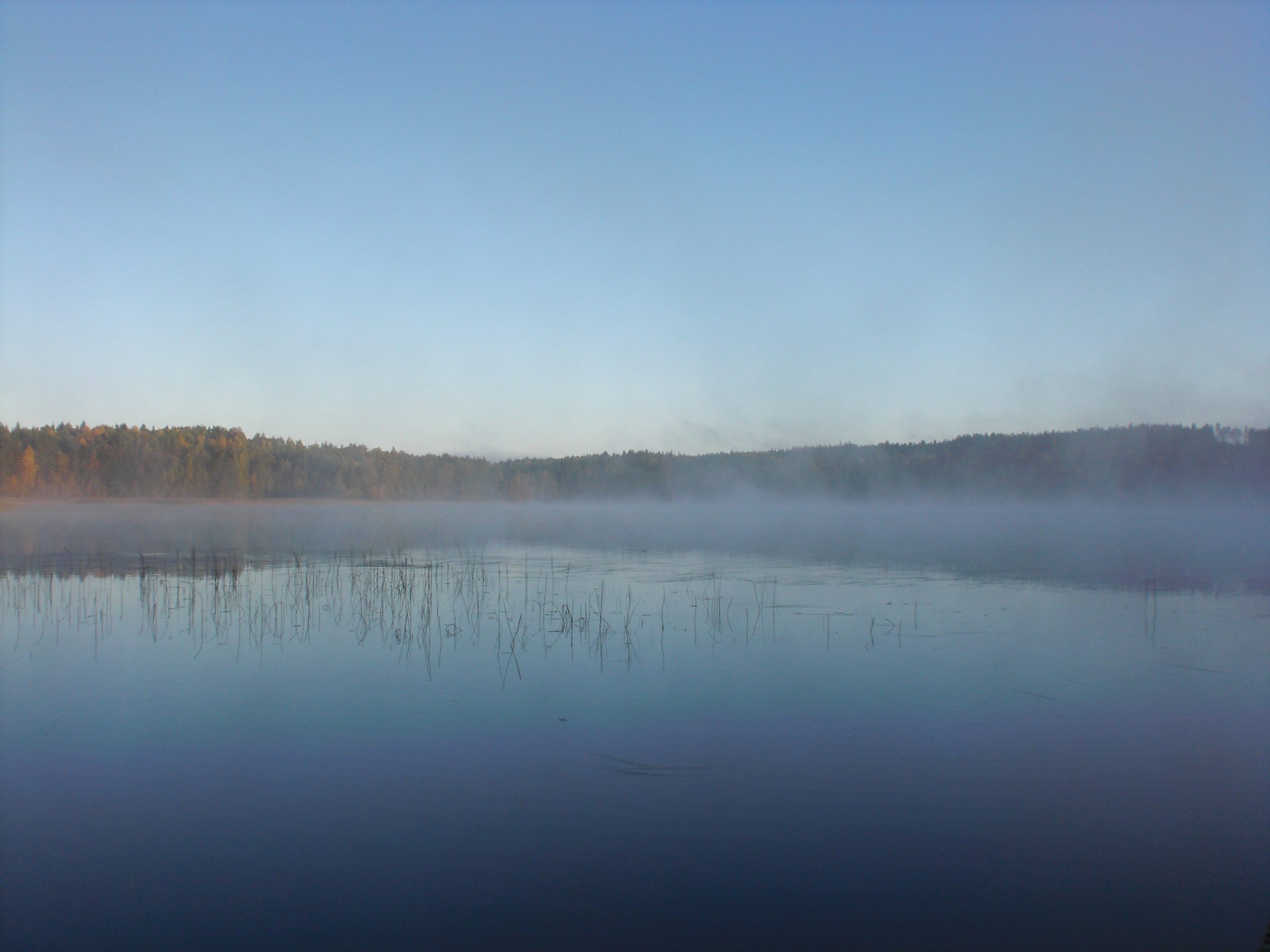 Telegate: 100 Millionen Euro in Reichweite - Divid 410421