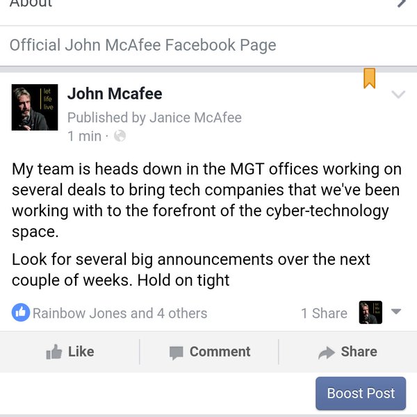 MGT heißt künftig McAfee Global Technologies 914614