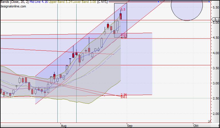 Citigoup - wann einsteigen ? 255810